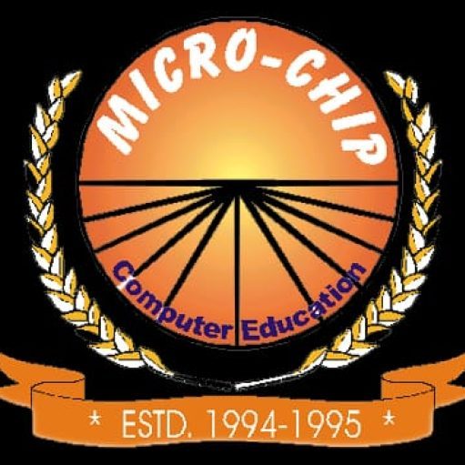 Micro-Chip Computer Education